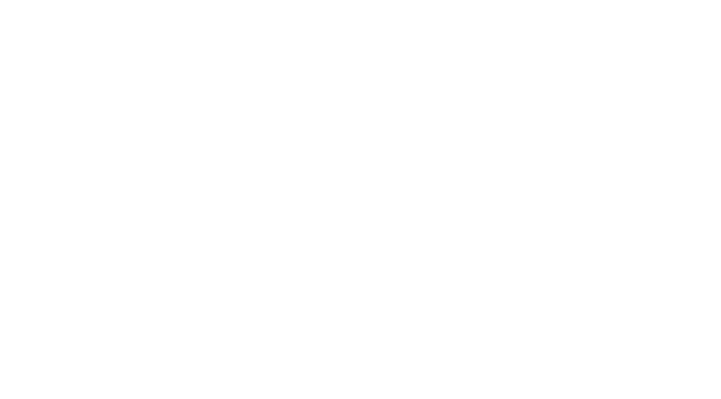 Bersta - Desarrollo de Software a la Medida en M&eacute;xico